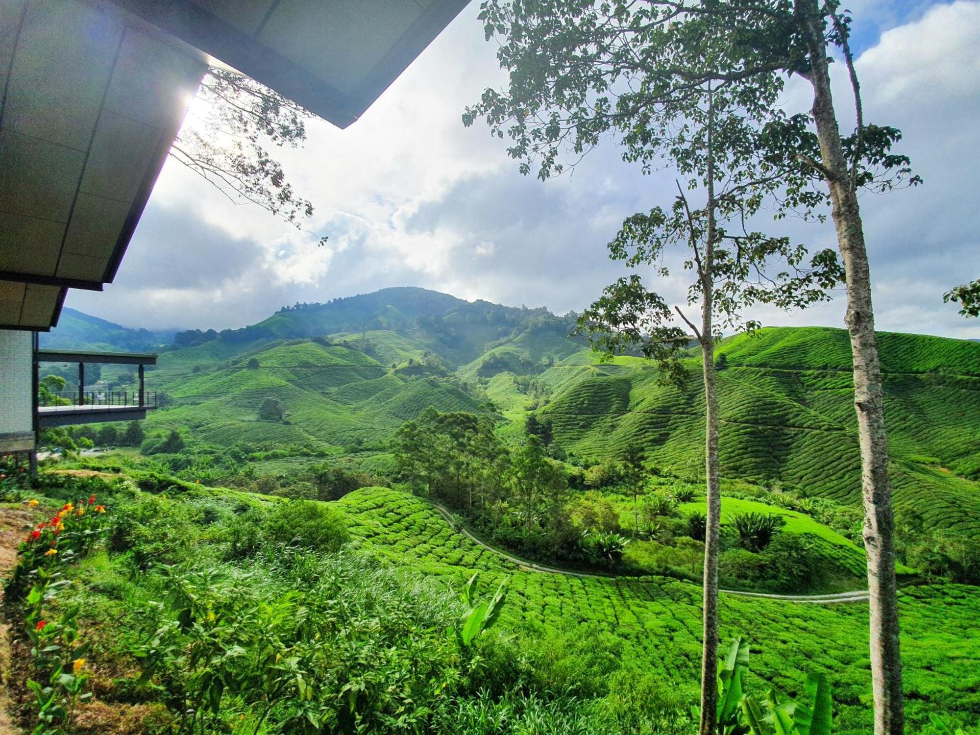 Mossy Forest Family Retreat Ii, 2-8 Pax, Cameron Highlands Eksteriør billede